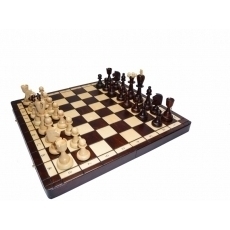 Шахматы 115